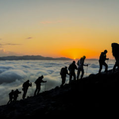 Success by Association (How to Cut the Losers from Your Life So You Can Start Winning)
